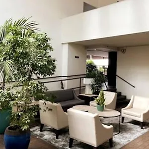 Condotel With Free Parking Wifi Ac By Stayhawaii Apartment